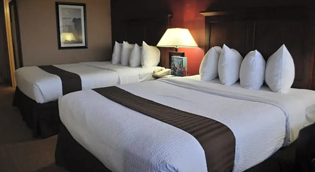 Run of House Holiday Inn Kansas City Se - Waterpark