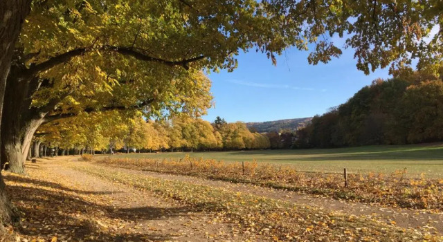 Suite mit Blick auf die Lichtentaler Allee