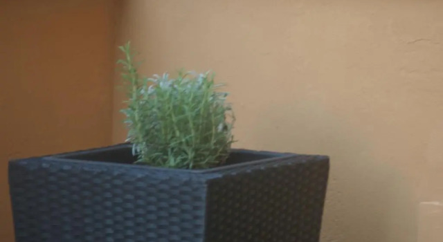 Апартаменты Stayinbologna