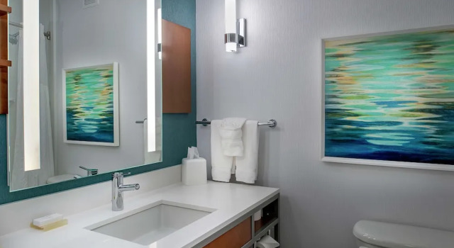 Двухместный номер Deluxe Hilton Garden Inn St. Louis/OFallon