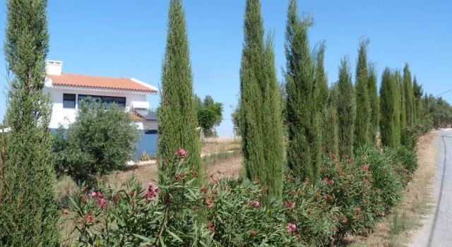 Вилла Vila Valmonte