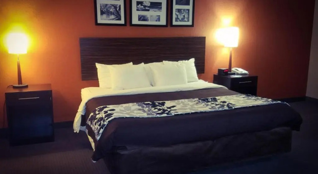 Номер Standard Clarion Pointe Lakeland I-4