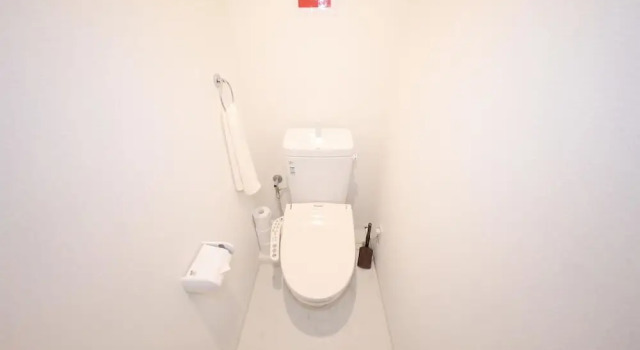Апартаменты с балконом Premier in Land Mark Ebisu Osaka 402(187-1)