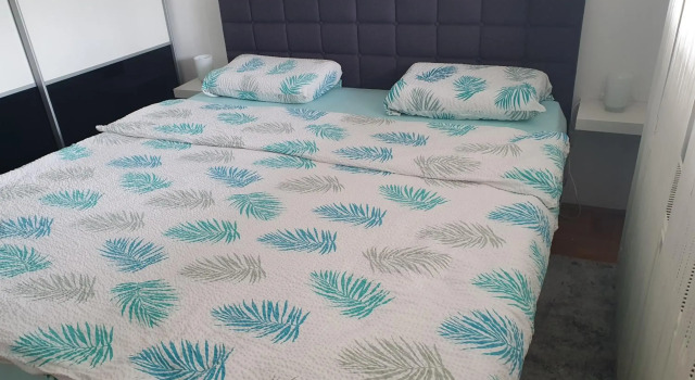 Apartman Džakula