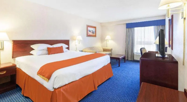 Одноместный номер Standard Wyndham Garden Monterrey Norte