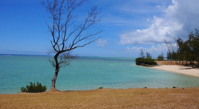 The Kiter's Nest, Rezervasyon Otel Le Morne 