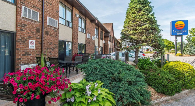 Кровать в общем номере Comfort Inn Sault Ste Marie ON