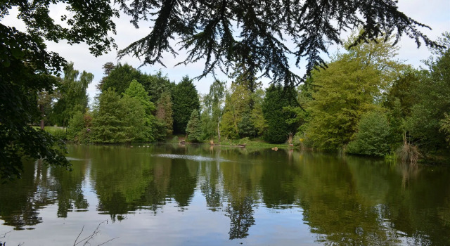 Worplesdon Place Hotel, Забронировать Отель Отели High Weald с завтраком, Завтраки
