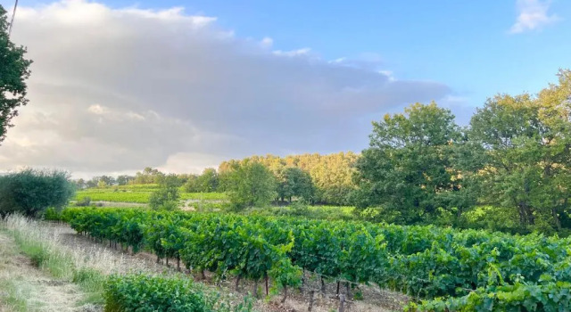 T2 avec terrasse arborée proche LOURMARIN, Rezerwuj Hotel Cadenet Luberon