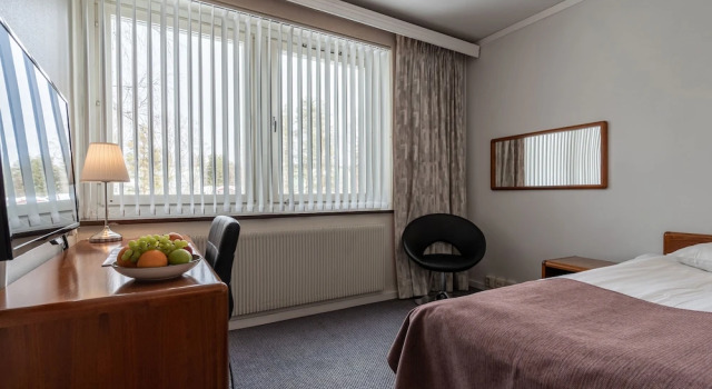 Одноместный номер Economy Hotell Villa Sparta