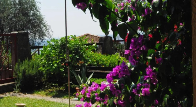 Апартаменты Apartment Bougainvillea