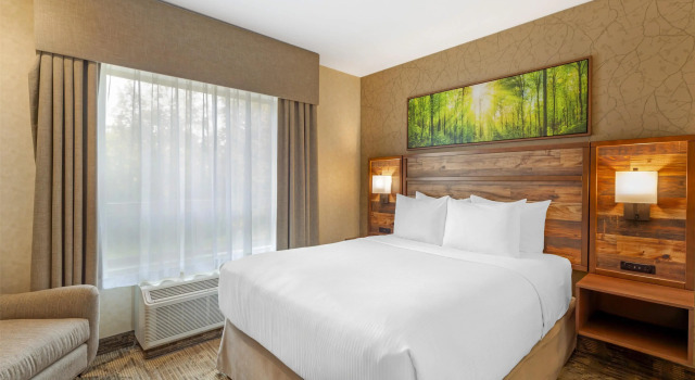 Двухместный люкс Best Western Plus Valemount Inn & Suites