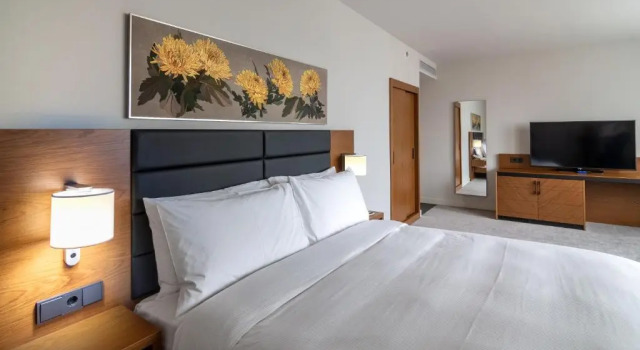 Двухместный полулюкс Отель Hilton Garden Inn Tbilisi Chavchavadze
