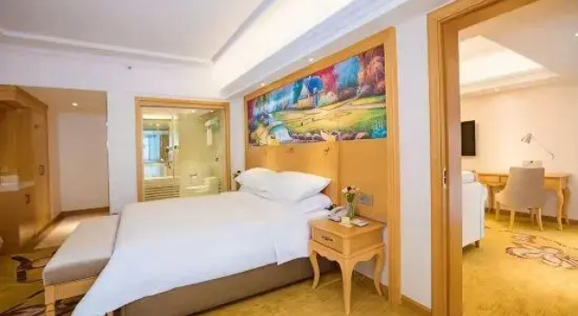 Люкс Deluxe Vienna Hotel Xian The Mixc Sanqiao Metro Station