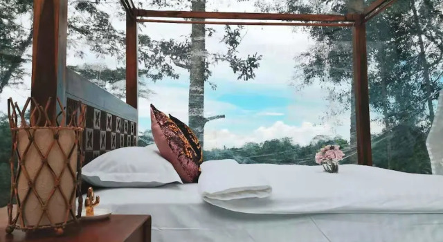 Jungle Bubble Lodge Ubud - Campsite, Rezervovat Kemp Hotely v Bali se snídaní, Snídaně