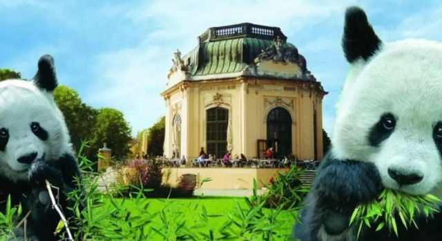 Zwischen Schönbrunn und dem City Center. Apt. 23, Prenota Hotel 12. Meidling Vienna