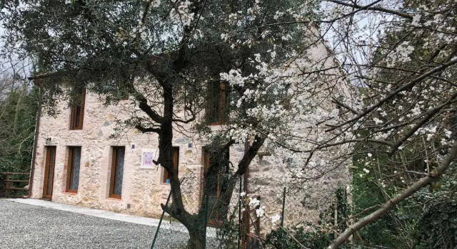 Коттедж c 1 комнатой DOLCE VITA IN TUSCANY Cottage
