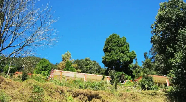Номер Standard Janardan Resort Pangot, Nainital