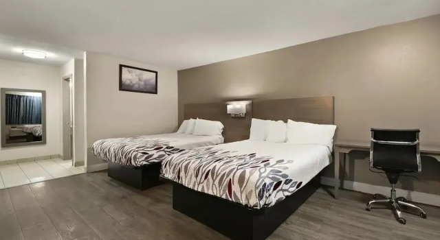 Четырёхместный номер Standard Red Roof Inn Los Angeles - Bellflower
