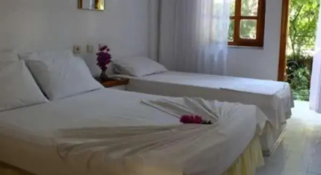 Двухместный номер Standard Rose Pension