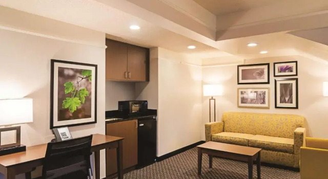 Двухместный люкс c 1 комнатой La Quinta by Wyndham Denver Tech Center