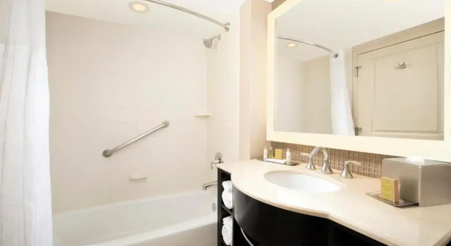 Двухместный номер Deluxe DoubleTree by Hilton Dulles Airport-Sterling