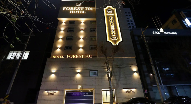 Habitación doble Estándar Forest 701 Hotel