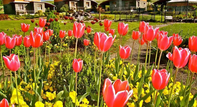 Коттедж Wellness & Spa Hotel Kaskady