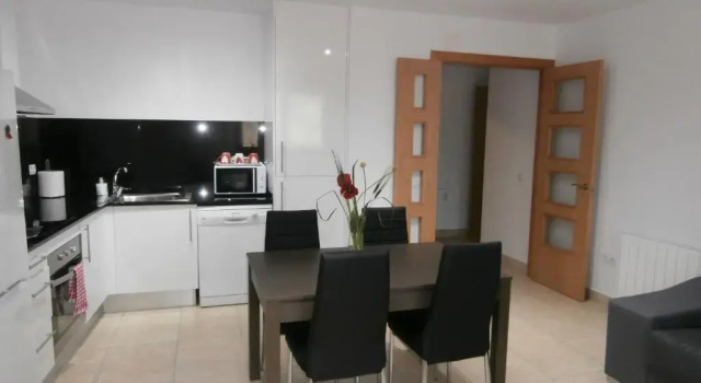 Апартаменты c 1 комнатой Apartament Bagà