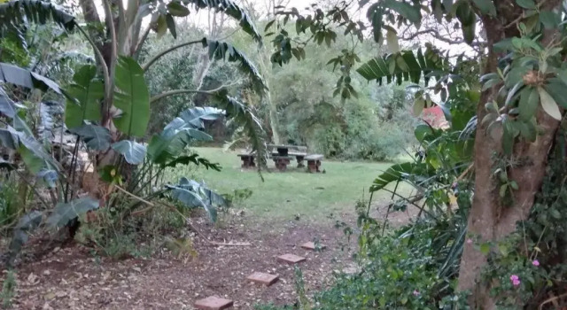The Homestead - Simple Farm-Style Accommodation, Rezervovat Hotel Port Alfred Sunshine Coast