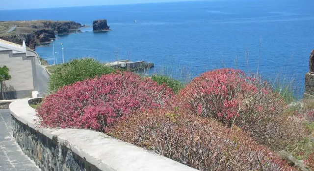 Estudio B&B Caserta