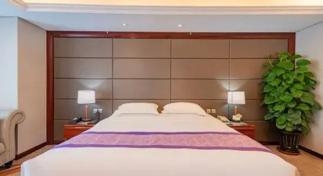 Люкс Dandong Xin An Dong Hotel