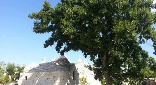 Коттедж с 2 комнатами с видом на сад Almapetra Trulli Resort