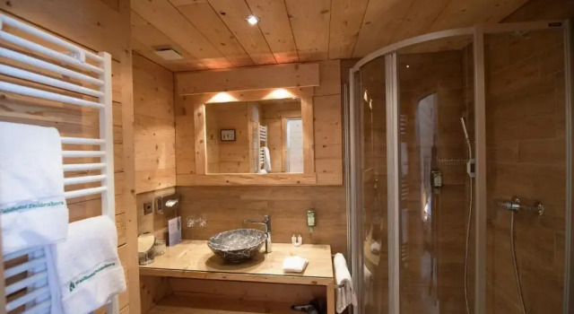 Двухместный номер Economy Waldhotel Doldenhorn