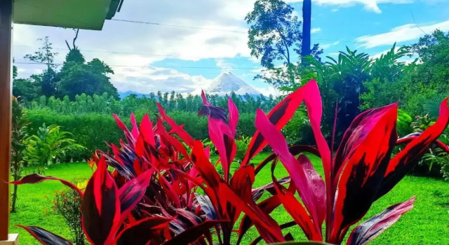 Villa Ceiba, Varaa Villa Hotellit Alajuela pysäköinnillä, Pysäköinti