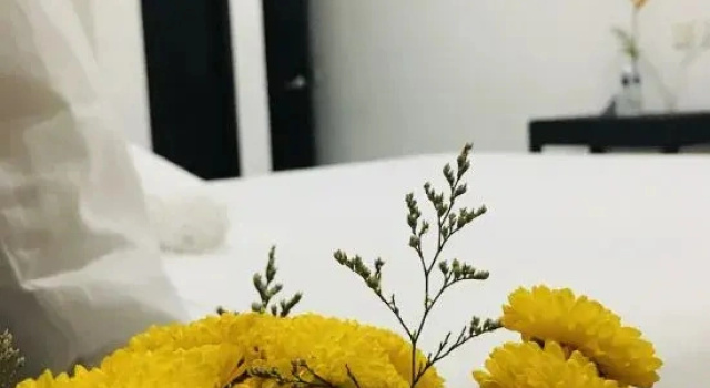 Номер Standard Room-standard Queen Room two Beds n01