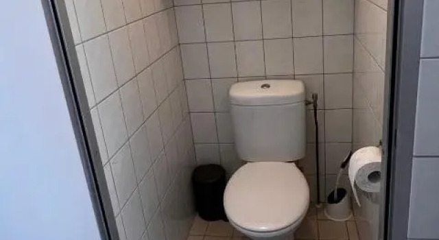 Fijne plek met eigen bos 2000m2 en GRATIS linnen en handdoeken!!