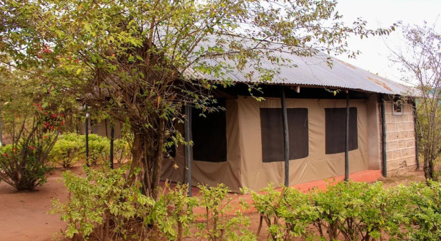 Двухместный номер Standard Mara Forest camp