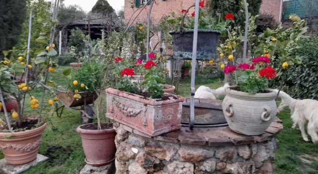 Апартаменты Casa Patti alle porte di Siena