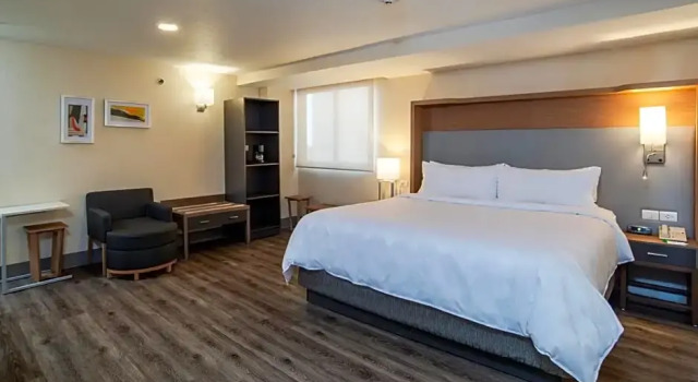 Люкс Holiday Inn MEXICO COYOACAN