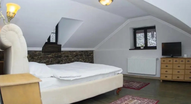 Двухместный номер Standard Мансарда Hotel Regal 1880 - Boutique Hotel in Parcul Central Sinaia