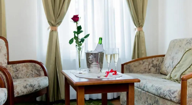 Номер Comfort Villa Palinka