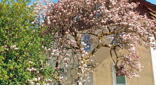 Liebevoll Gästewohnungen, Reserva ahora Hotel Hoteles en Baden-Wurtemberg con aparcamiento, Aparcamiento