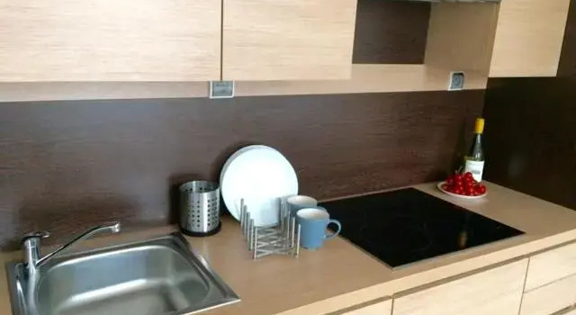 Двухместный номер Large Luxury apartment Piękna