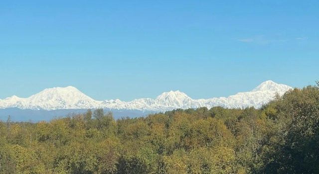 Номер Standard Talkeetna Denali View Lodge and Cabins