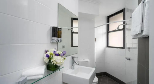 Двухместный номер Superior Park Regis City Centre