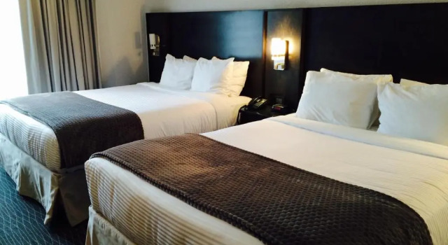 Четырёхместный номер Business Hotel des Eskers