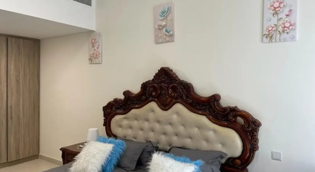 315 Fully furnished 1BHK Apartment