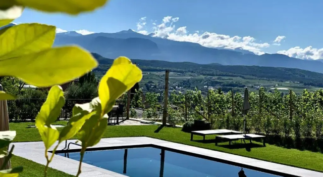 Апартаменты с видом на сад Weingut Gasshof- Panorama Pool in den Weinbergen
