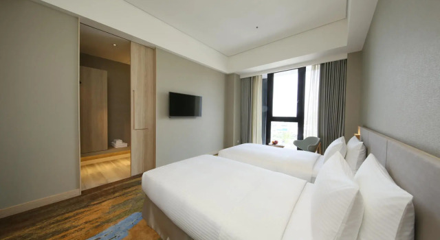 Двухместный номер Standard South Urban Hotel